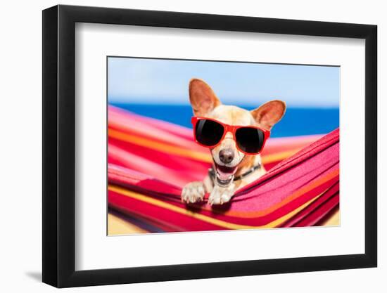 Dog on Hammock-Javier Brosch-Framed Photographic Print