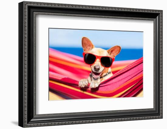 Dog on Hammock-Javier Brosch-Framed Photographic Print