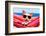 Dog on Hammock-Javier Brosch-Framed Photographic Print