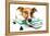 Dog on Scale-Javier Brosch-Framed Premier Image Canvas