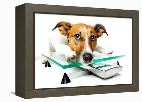 Dog on Scale-Javier Brosch-Framed Premier Image Canvas