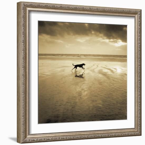 Dog on the Beach, West Wittering-Jo Crowther-Framed Giclee Print