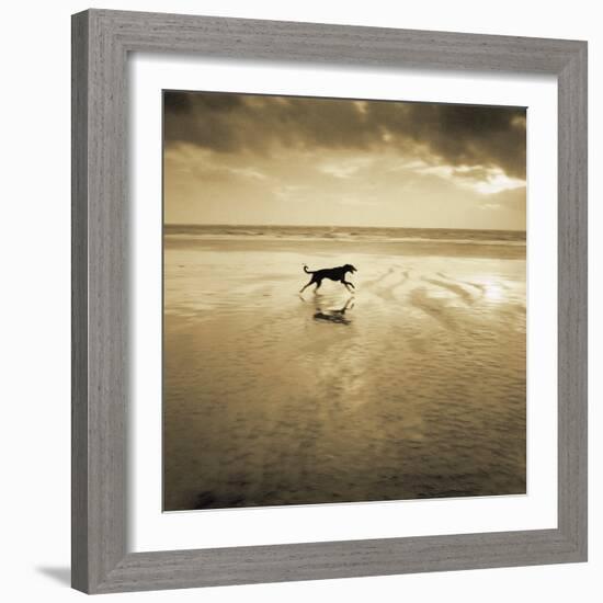 Dog on the Beach, West Wittering-Jo Crowther-Framed Giclee Print