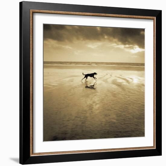 Dog on the Beach, West Wittering-Jo Crowther-Framed Giclee Print