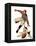 "Dog on the Field," October 18, 1941-Lonie Bee-Framed Premier Image Canvas