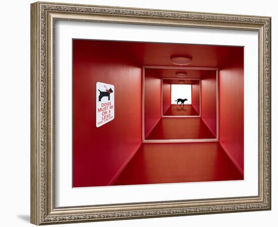 Dog on the Loose-Jacqueline Hammer-Framed Photographic Print