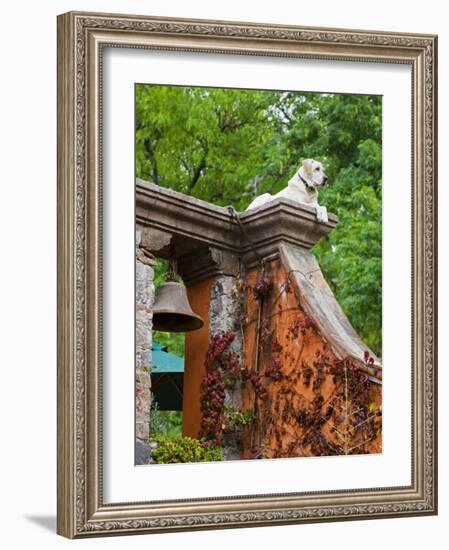 Dog on the Rooftop, San Miguel, Guanajuato State, Mexico-Julie Eggers-Framed Photographic Print