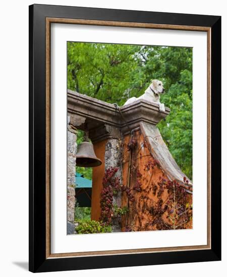 Dog on the Rooftop, San Miguel, Guanajuato State, Mexico-Julie Eggers-Framed Photographic Print