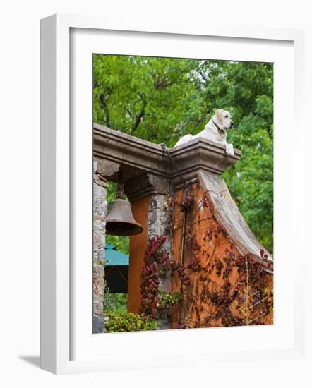 Dog on the Rooftop, San Miguel, Guanajuato State, Mexico-Julie Eggers-Framed Photographic Print