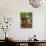 Dog on the Rooftop, San Miguel, Guanajuato State, Mexico-Julie Eggers-Photographic Print displayed on a wall