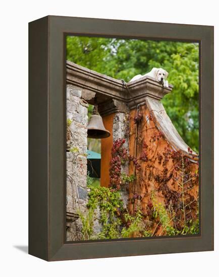 Dog on the Rooftop, San Miguel, Guanajuato State, Mexico-Julie Eggers-Framed Premier Image Canvas