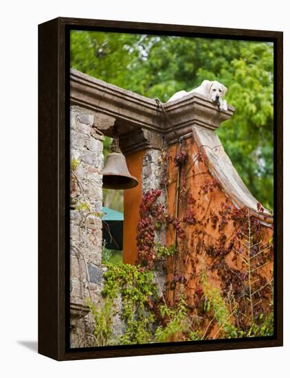 Dog on the Rooftop, San Miguel, Guanajuato State, Mexico-Julie Eggers-Framed Premier Image Canvas