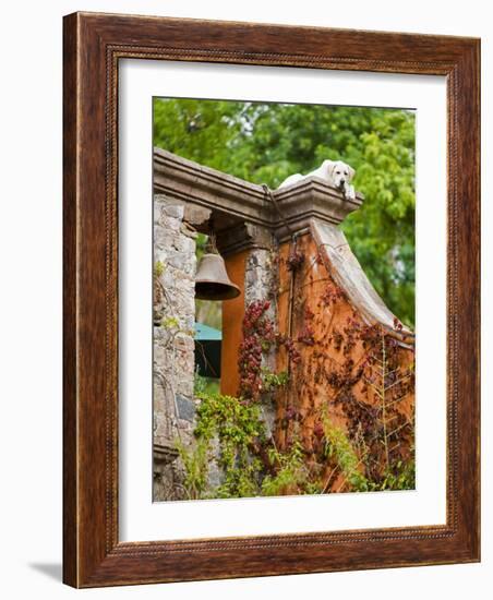 Dog on the Rooftop, San Miguel, Guanajuato State, Mexico-Julie Eggers-Framed Photographic Print