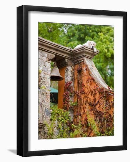 Dog on the Rooftop, San Miguel, Guanajuato State, Mexico-Julie Eggers-Framed Photographic Print