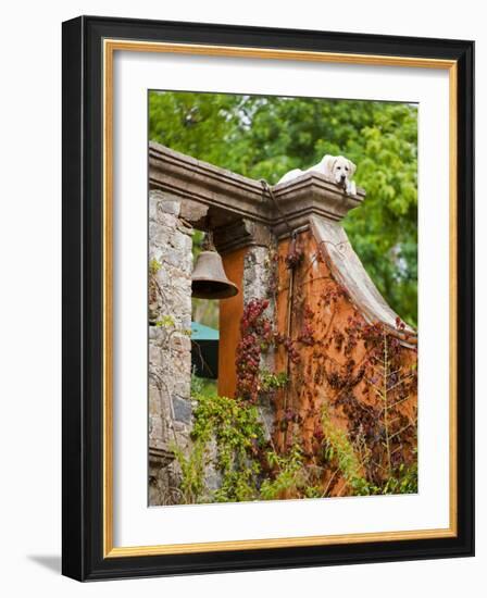 Dog on the Rooftop, San Miguel, Guanajuato State, Mexico-Julie Eggers-Framed Photographic Print