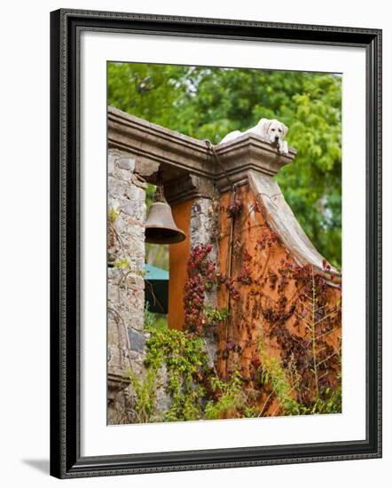 Dog on the Rooftop, San Miguel, Guanajuato State, Mexico-Julie Eggers-Framed Photographic Print