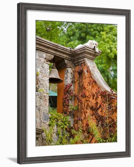 Dog on the Rooftop, San Miguel, Guanajuato State, Mexico-Julie Eggers-Framed Photographic Print