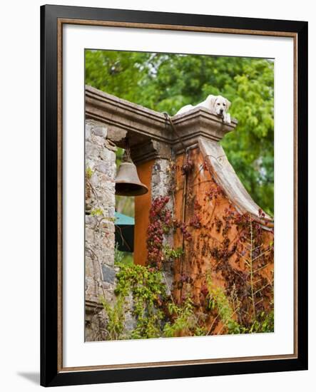 Dog on the Rooftop, San Miguel, Guanajuato State, Mexico-Julie Eggers-Framed Photographic Print