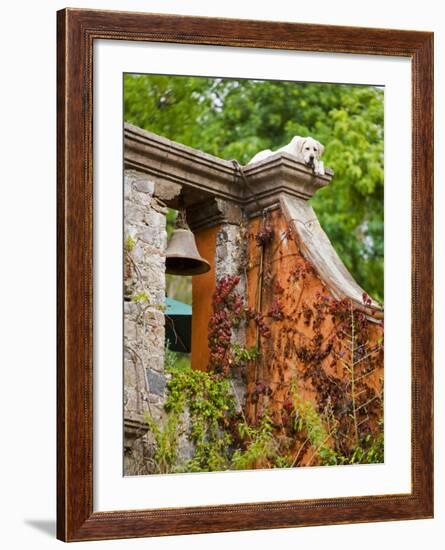 Dog on the Rooftop, San Miguel, Guanajuato State, Mexico-Julie Eggers-Framed Photographic Print