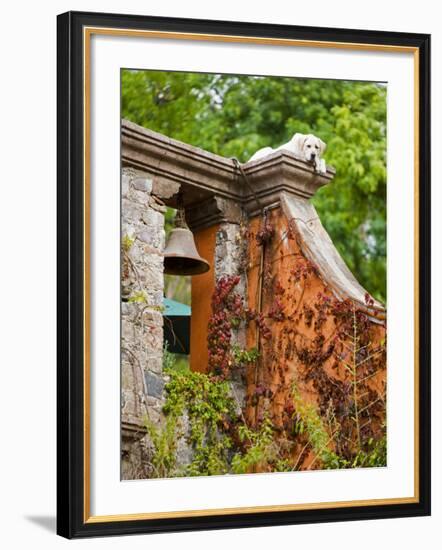 Dog on the Rooftop, San Miguel, Guanajuato State, Mexico-Julie Eggers-Framed Photographic Print