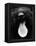 Dog Panting-Henry Horenstein-Framed Stretched Canvas