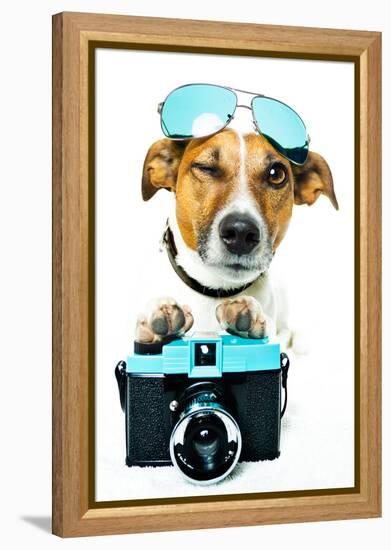 Dog Photo Camera-Javier Brosch-Framed Premier Image Canvas