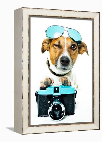 Dog Photo Camera-Javier Brosch-Framed Premier Image Canvas