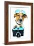 Dog Photo Camera-Javier Brosch-Framed Photographic Print