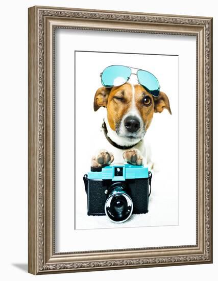 Dog Photo Camera-Javier Brosch-Framed Photographic Print
