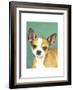 Dog Portrait, Chihuahua-Jill Sands-Framed Art Print