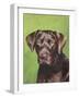 Dog Portrait, Chocolate-Jill Sands-Framed Art Print