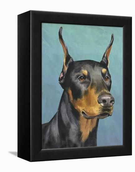 Dog Portrait, Dobie-Jill Sands-Framed Stretched Canvas