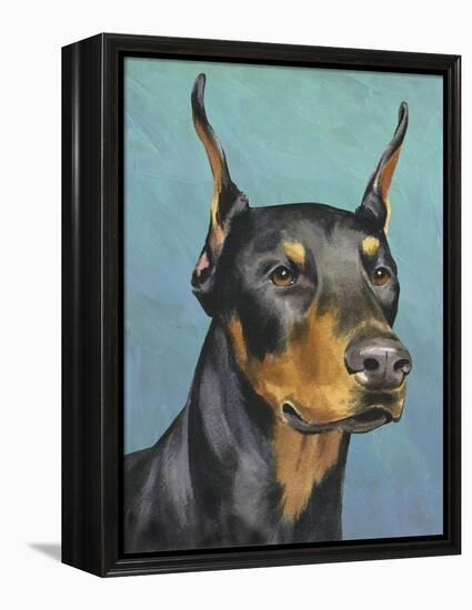 Dog Portrait, Dobie-Jill Sands-Framed Stretched Canvas