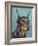 Dog Portrait, Dobie-Jill Sands-Framed Art Print