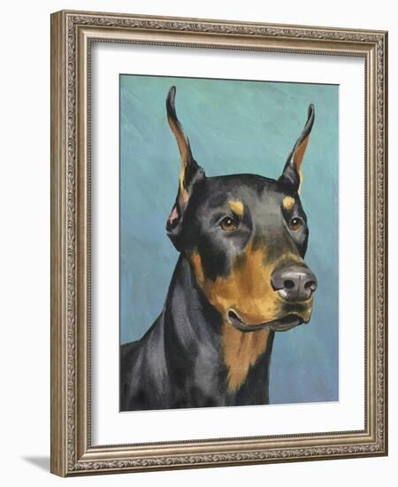 Dog Portrait, Dobie-Jill Sands-Framed Art Print