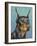 Dog Portrait, Dobie-Jill Sands-Framed Art Print