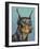 Dog Portrait, Dobie-Jill Sands-Framed Art Print