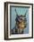 Dog Portrait, Dobie-Jill Sands-Framed Art Print