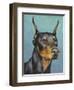 Dog Portrait, Dobie-Jill Sands-Framed Art Print