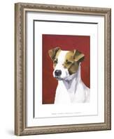 Dog Portrait, Jack-Jill Sands-Framed Art Print