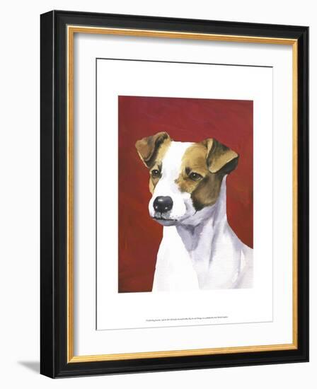 Dog Portrait, Jack-Jill Sands-Framed Art Print