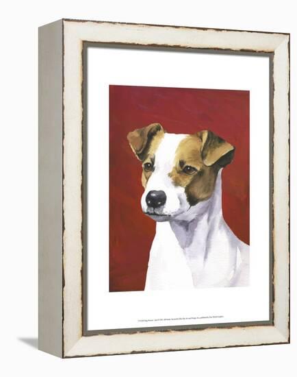 Dog Portrait, Jack-Jill Sands-Framed Stretched Canvas
