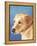 Dog Portrait, Yellow Lab-Jill Sands-Framed Stretched Canvas