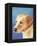 Dog Portrait, Yellow Lab-Jill Sands-Framed Stretched Canvas