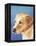 Dog Portrait, Yellow Lab-Jill Sands-Framed Stretched Canvas