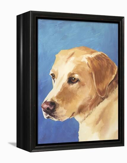 Dog Portrait, Yellow Lab-Jill Sands-Framed Stretched Canvas