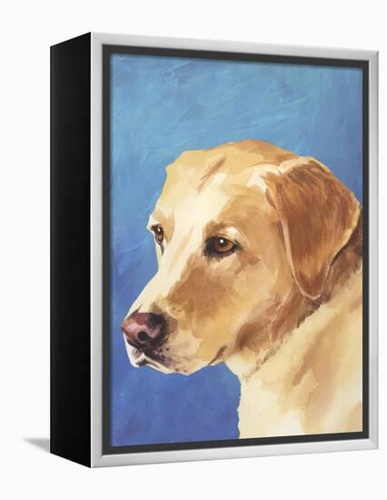 Dog Portrait, Yellow Lab-Jill Sands-Framed Stretched Canvas