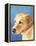 Dog Portrait, Yellow Lab-Jill Sands-Framed Stretched Canvas