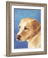 Dog Portrait, Yellow Lab-Jill Sands-Framed Art Print