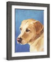 Dog Portrait, Yellow Lab-Jill Sands-Framed Art Print